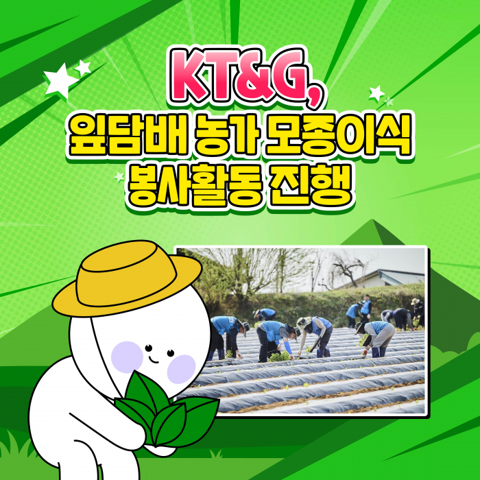 KT&G, 잎담배 농가 모종이식 봉사활동 진행 기사의 사진