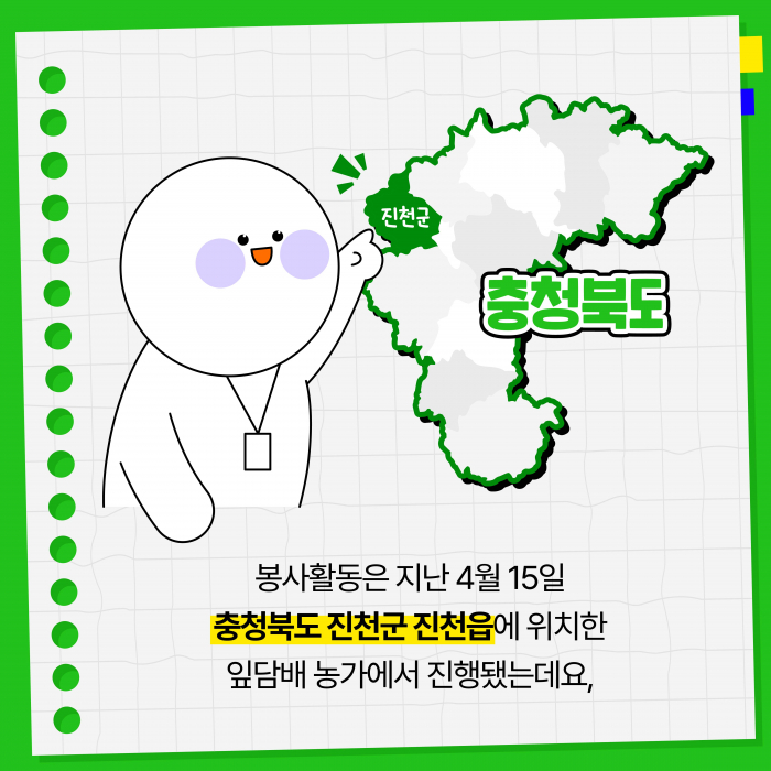 KT&G, 잎담배 농가 모종이식 봉사활동 진행 기사의 사진