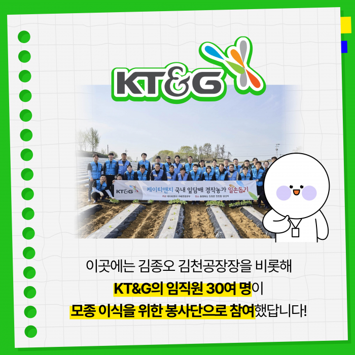 KT&G, 잎담배 농가 모종이식 봉사활동 진행 기사의 사진
