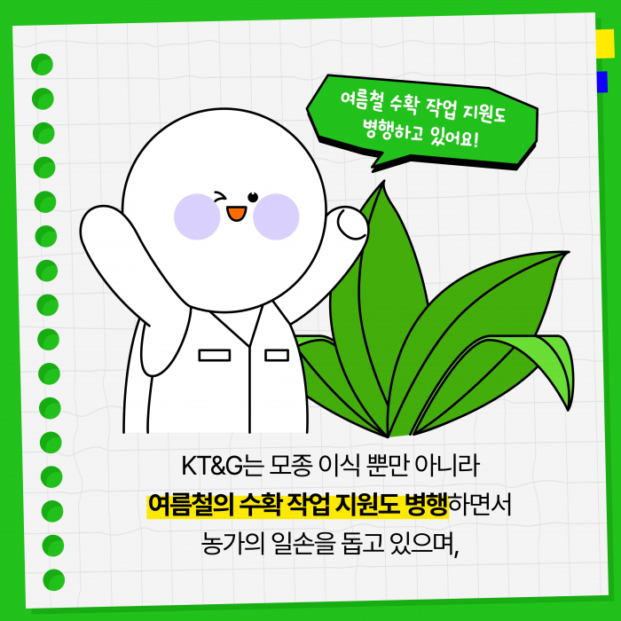 KT&G, 잎담배 농가 모종이식 봉사활동 진행 기사의 사진