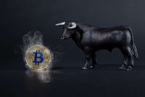 FOMC 앞두고도 '파죽지세'···BTC 23K 지지