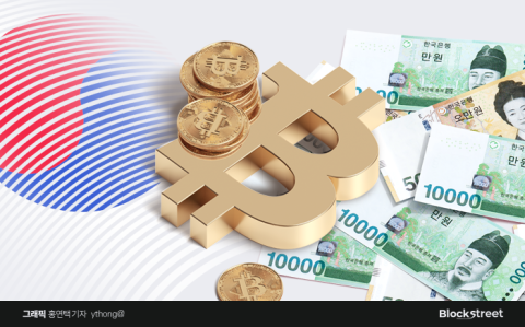 대한민국 원화, 올 상반기 통화별 글로벌 암호화폐 거래량 1위
