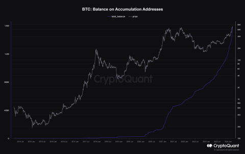 크립토퀀트 "매도 없는 BTC 지갑 수 폭증세···상승장 오래 간다"