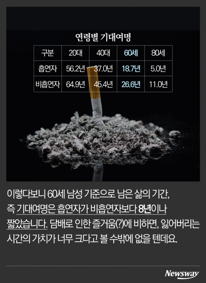 담배가 갉아먹는 수명은 몇 년일까? 기사의 사진