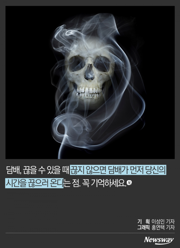 담배가 갉아먹는 수명은 몇 년일까? 기사의 사진