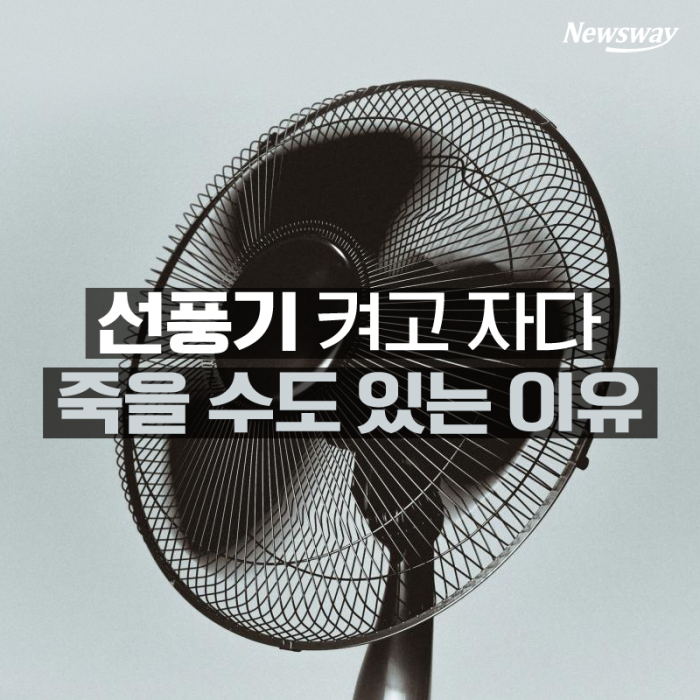 선풍기 켜고 자다 죽을 수도 있는 이유 기사의 사진