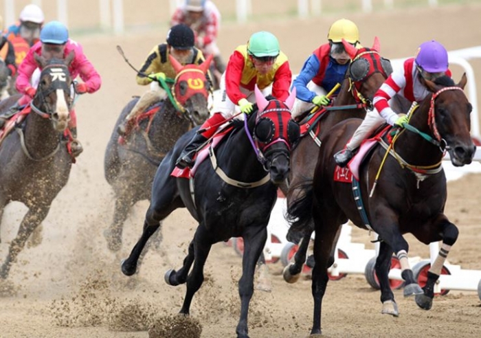 국내 공기업중 마사회 직원 평균 연봉 9209만원 1위