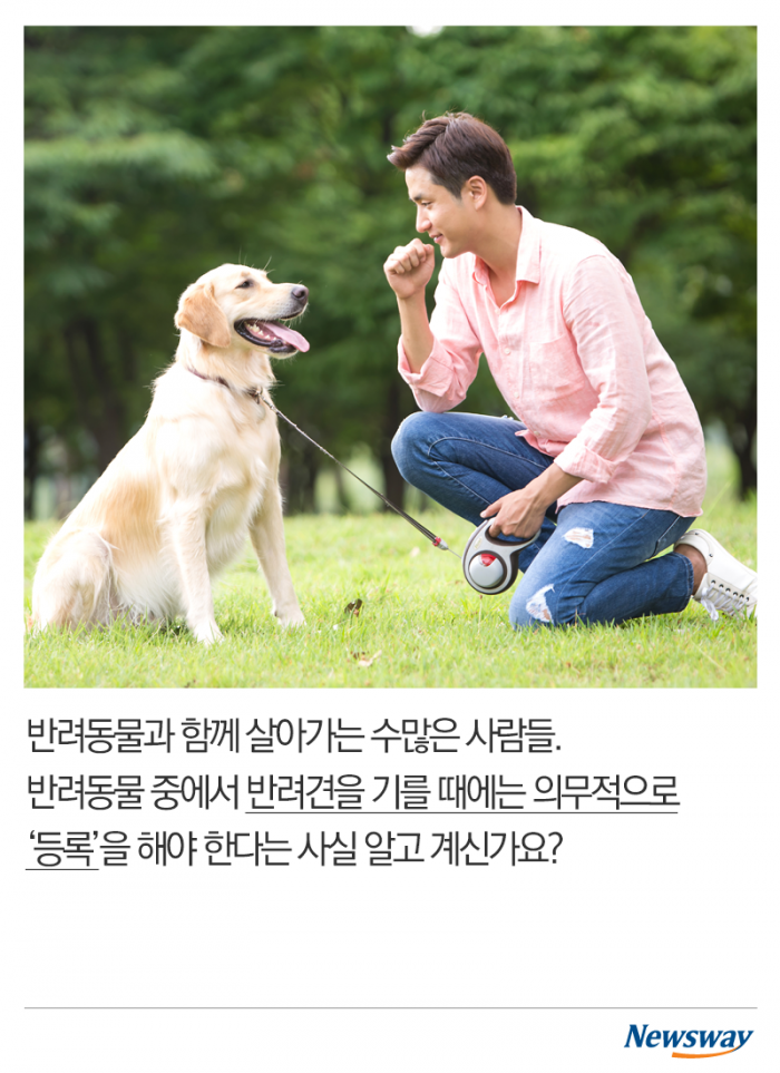 가족이라면 등록하세요 기사의 사진