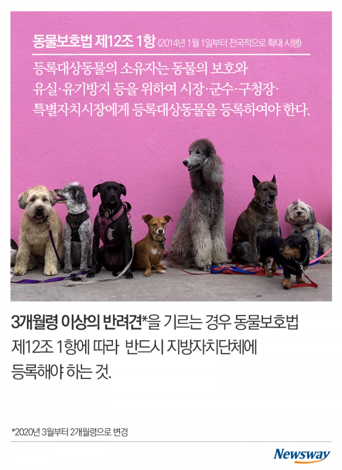 가족이라면 등록하세요 기사의 사진