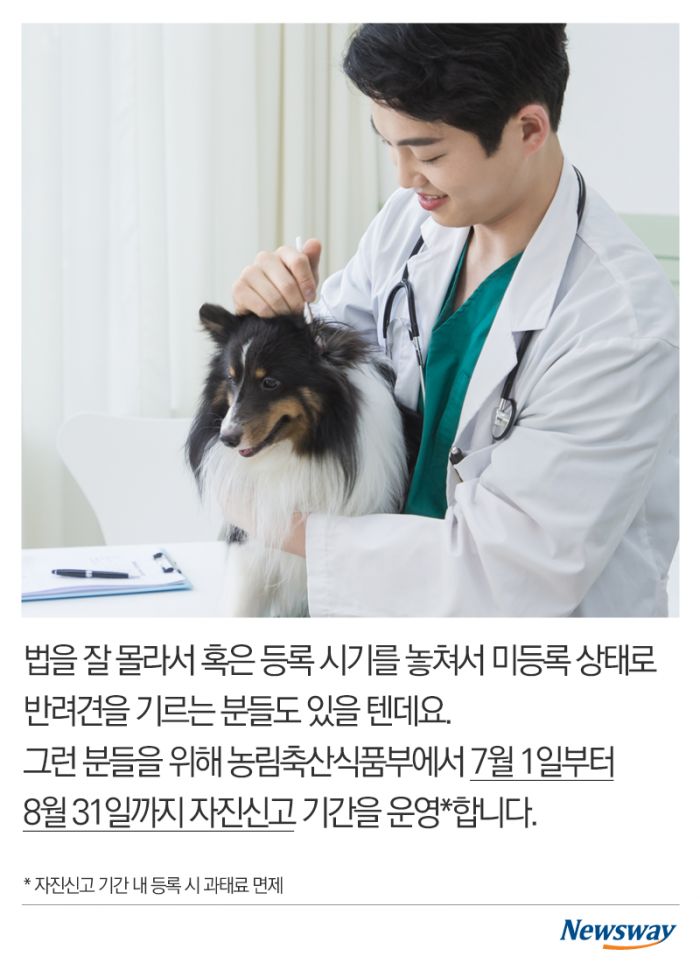 가족이라면 등록하세요 기사의 사진
