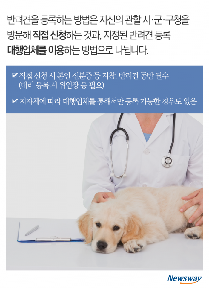 가족이라면 등록하세요 기사의 사진