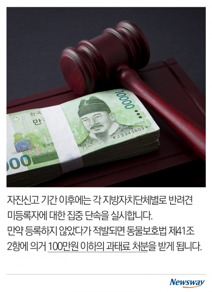 가족이라면 등록하세요 기사의 사진