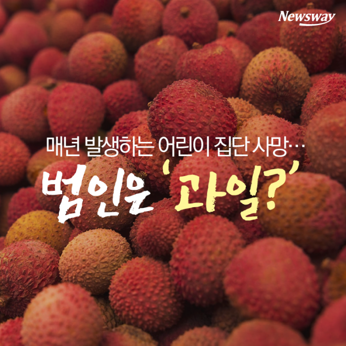 매년 발생하는 어린이 집단 사망···범인은 ‘과일?’ 기사의 사진