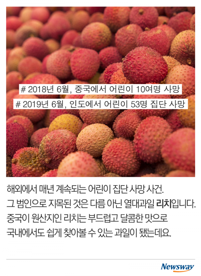 매년 발생하는 어린이 집단 사망···범인은 ‘과일?’ 기사의 사진
