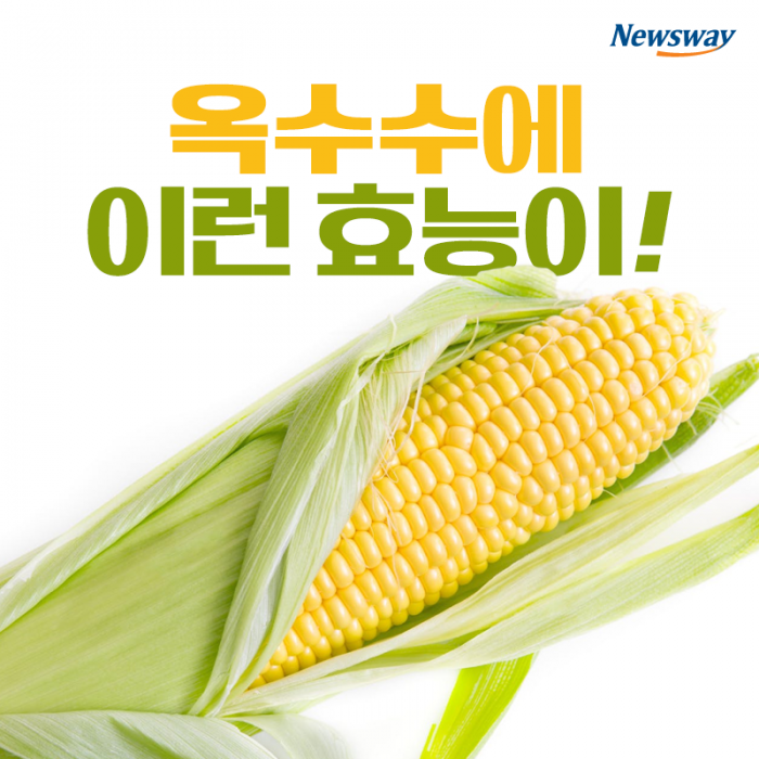 옥수수에 이런 효능이! 기사의 사진