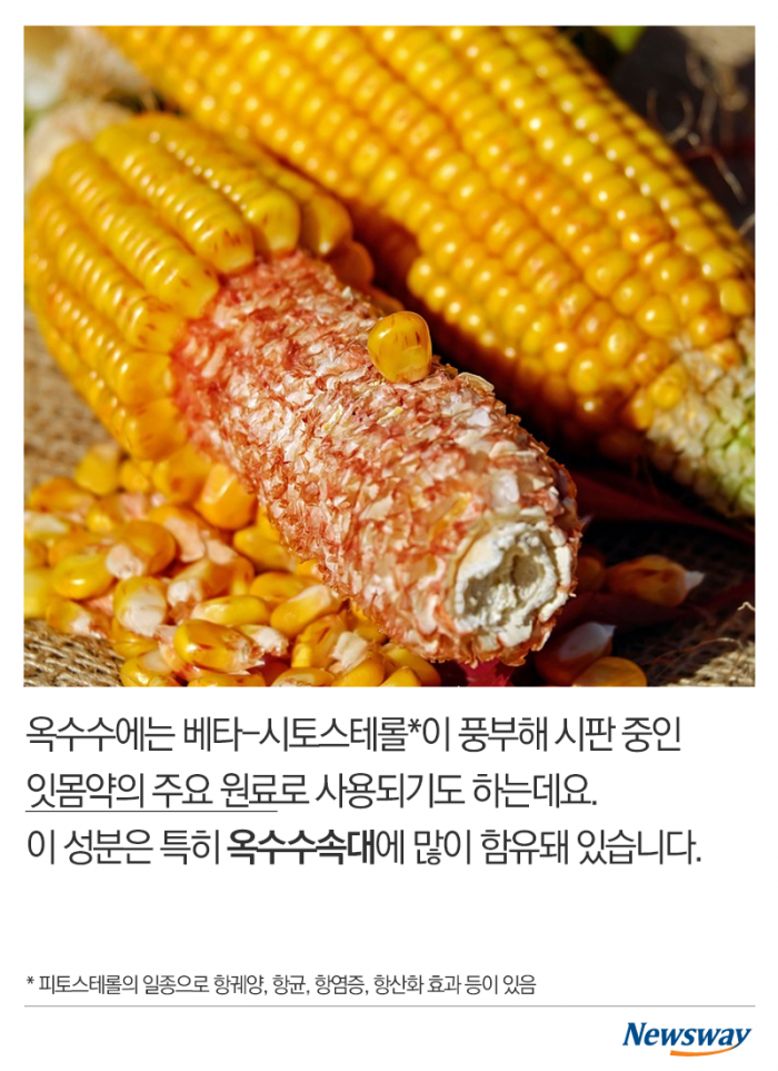 옥수수에 이런 효능이! 기사의 사진