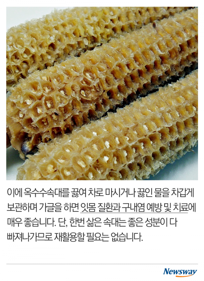 옥수수에 이런 효능이! 기사의 사진