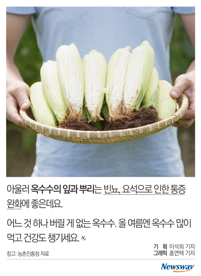 옥수수에 이런 효능이! 기사의 사진