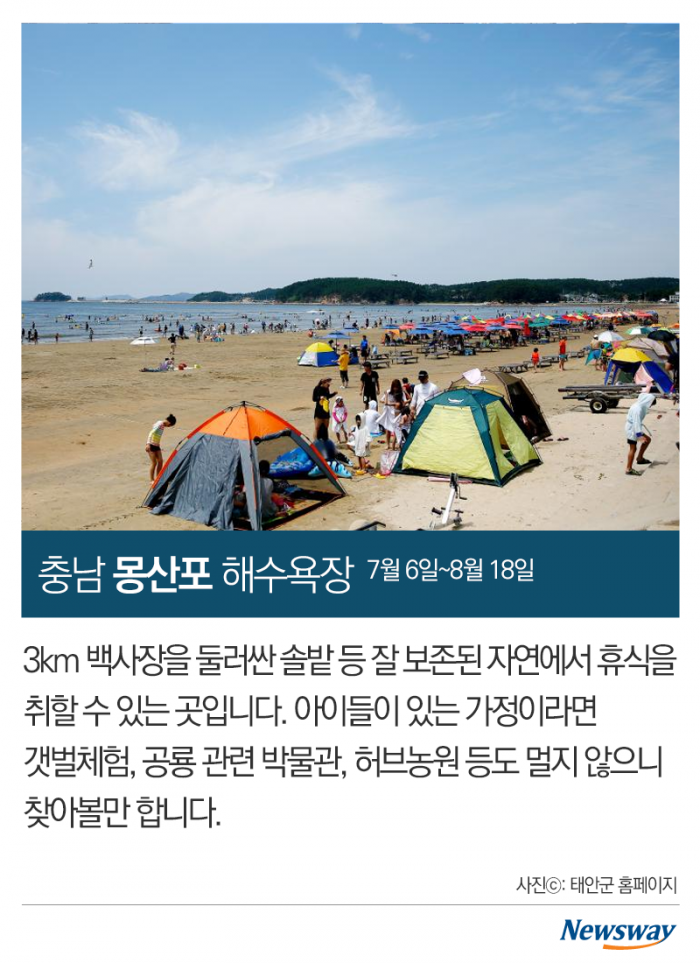 놀아본 사람들이 뽑은 전국 해수욕장 6 기사의 사진