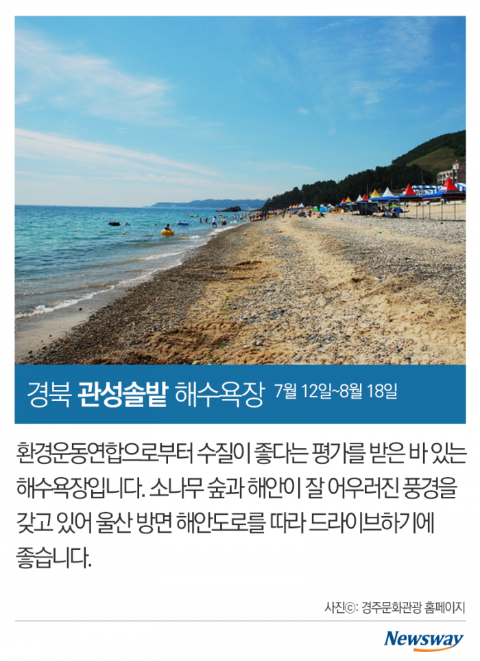 놀아본 사람들이 뽑은 전국 해수욕장 6 기사의 사진