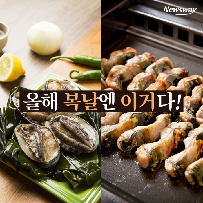 올해 복날엔 이거다! 기사의 사진