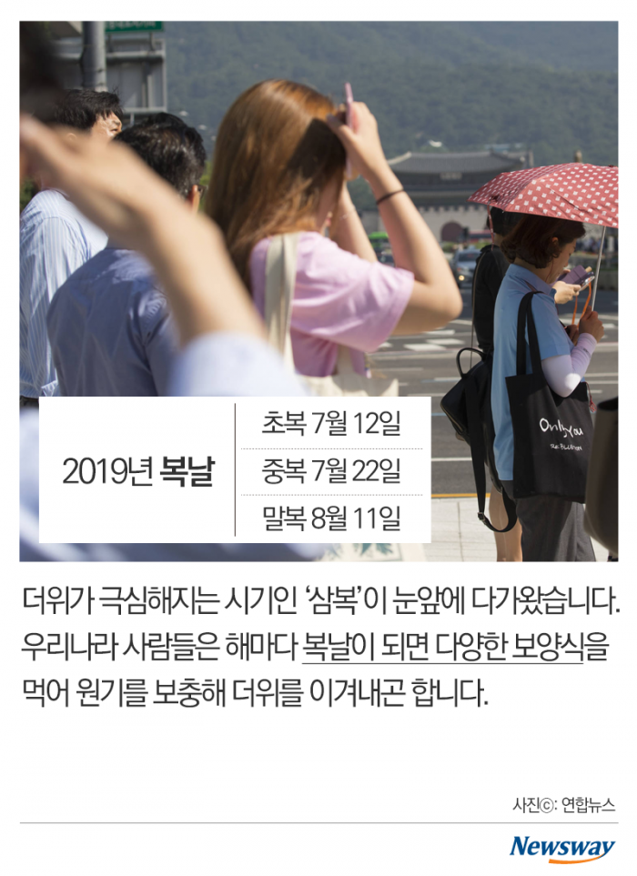 올해 복날엔 이거다! 기사의 사진