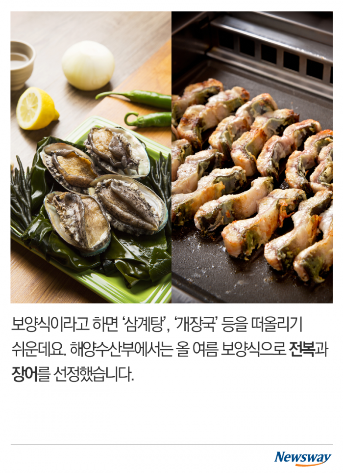 올해 복날엔 이거다! 기사의 사진