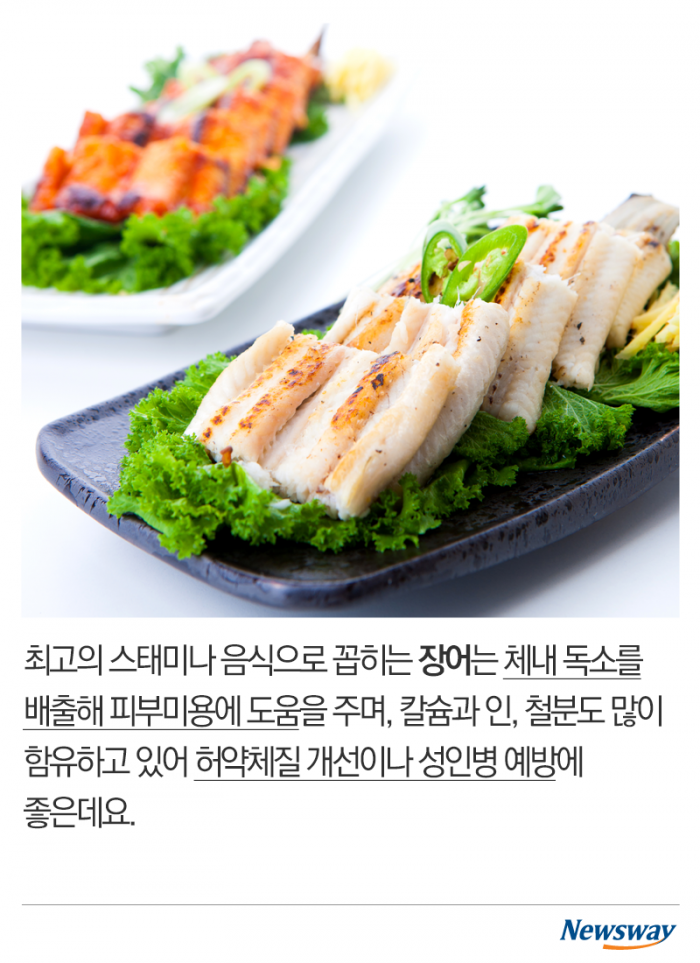 올해 복날엔 이거다! 기사의 사진