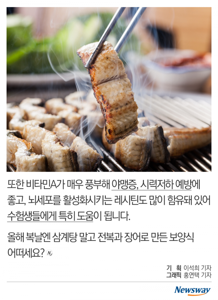 올해 복날엔 이거다! 기사의 사진