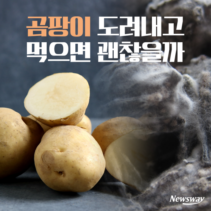 곰팡이 도려내고 먹으면 괜찮을까 기사의 사진
