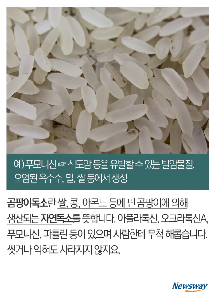 곰팡이 도려내고 먹으면 괜찮을까 기사의 사진