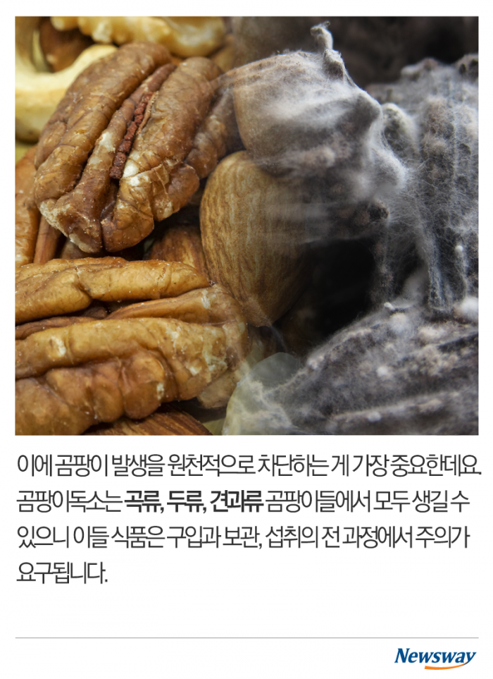 곰팡이 도려내고 먹으면 괜찮을까 기사의 사진