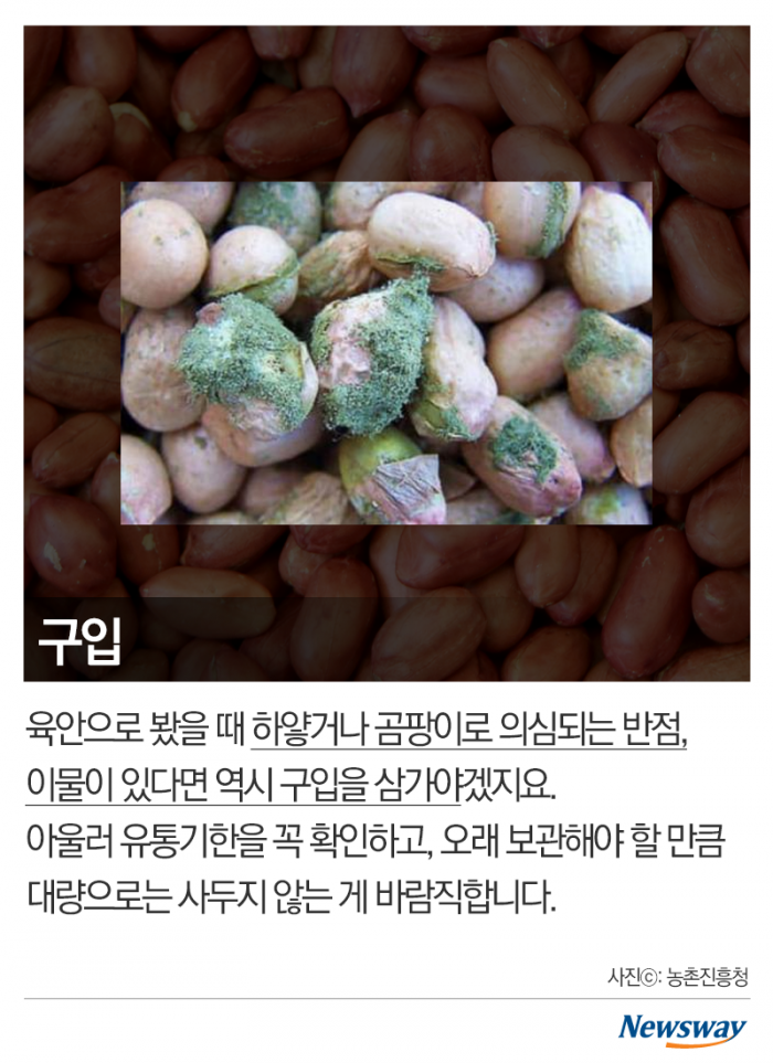곰팡이 도려내고 먹으면 괜찮을까 기사의 사진