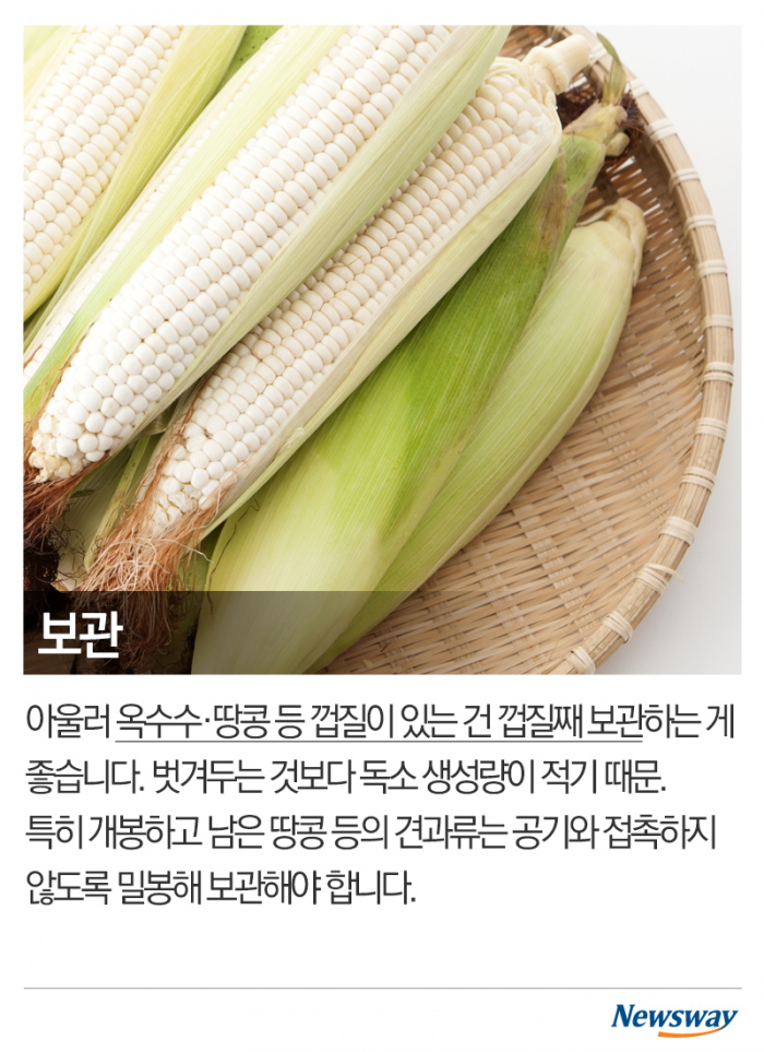 곰팡이 도려내고 먹으면 괜찮을까 기사의 사진