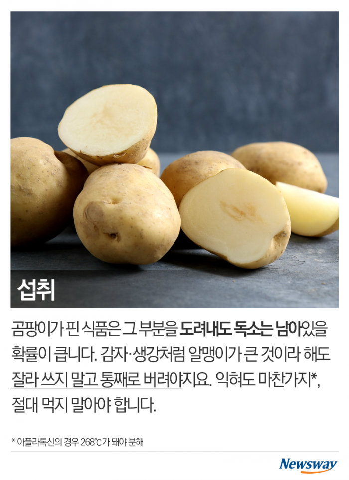 곰팡이 도려내고 먹으면 괜찮을까 기사의 사진