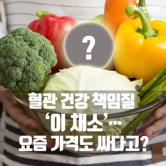 혈관 건강 책임질 ‘이 채소’···요즘 가격도 싸다고? 기사의 사진