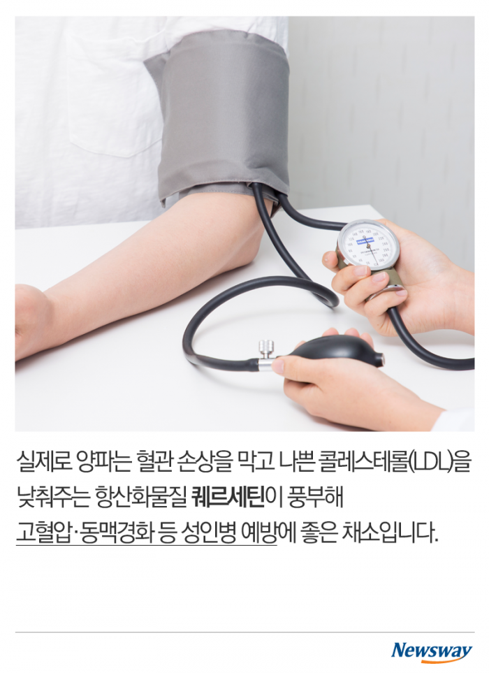 혈관 건강 책임질 ‘이 채소’···요즘 가격도 싸다고? 기사의 사진