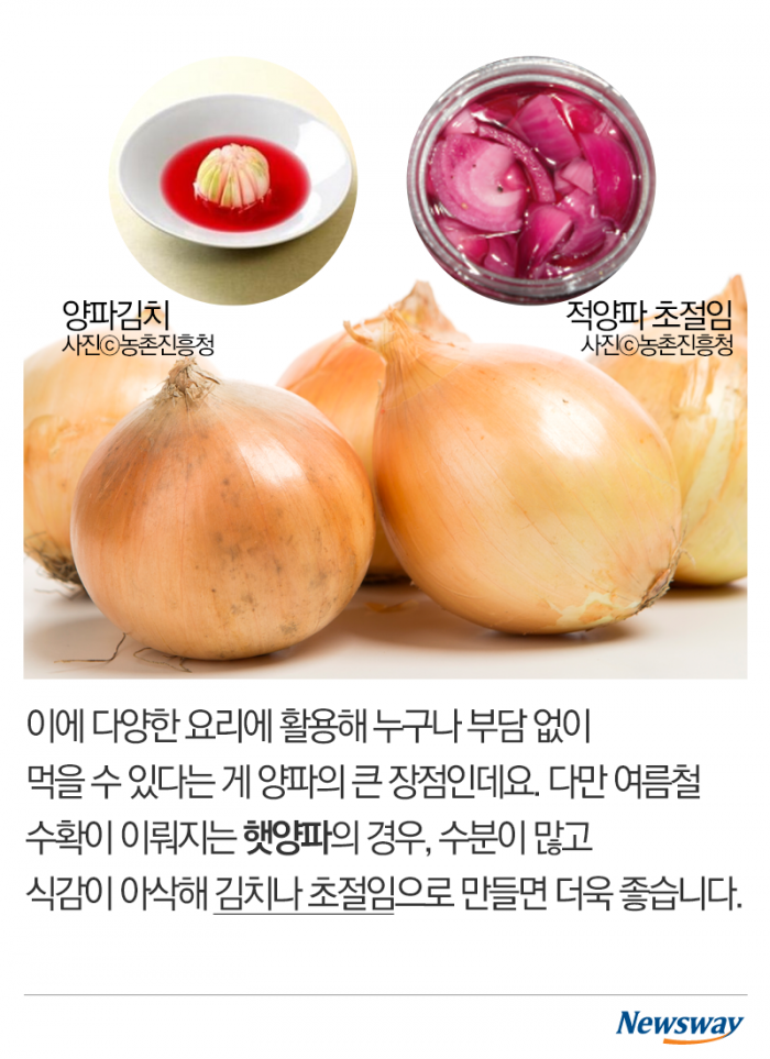 혈관 건강 책임질 ‘이 채소’···요즘 가격도 싸다고? 기사의 사진