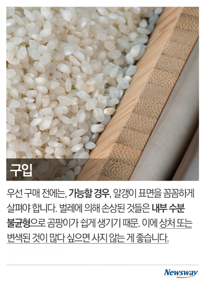 곰팡이 도려내고 먹으면 괜찮을까 기사의 사진