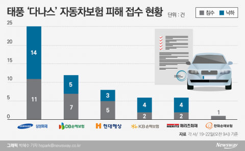 수도권 피해간 ‘다나스’···車손해율 한숨 돌린 손보업계