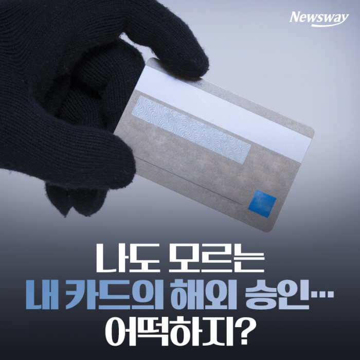 나도 모르는 내 카드의 해외 승인···어떡하지? 기사의 사진