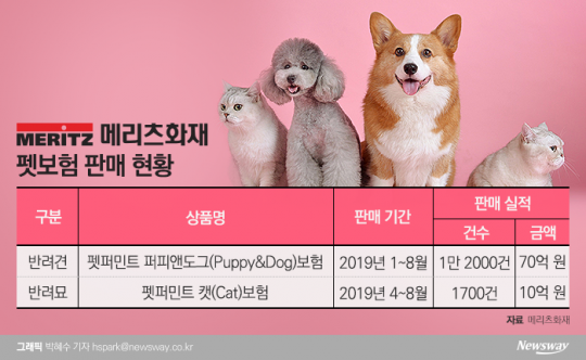 메리츠화재 펫보험 판매 현황. 그래픽=박혜수 기자