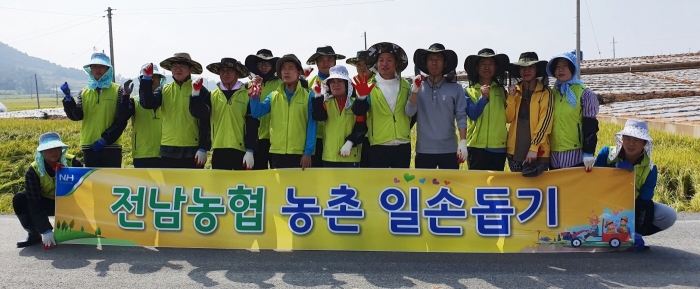 농협전남지역본부 관내 전 임직원 태풍 피해복구 총력 지원 모습
