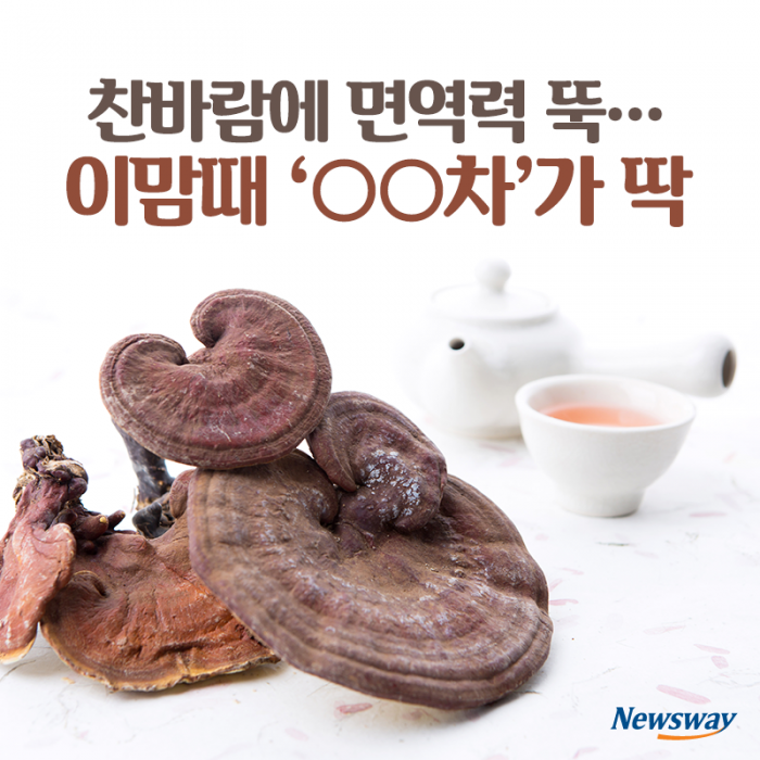 찬바람에 면역력 뚝···이맘때 ‘○○차’가 딱 기사의 사진