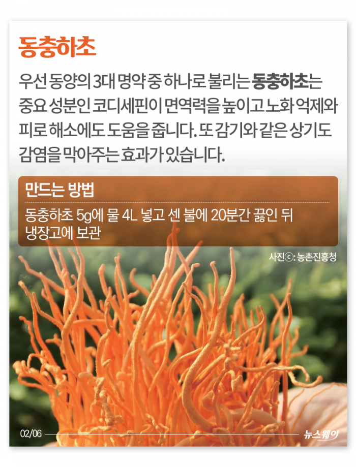 찬바람에 면역력 뚝···이맘때 ‘○○차’가 딱 기사의 사진