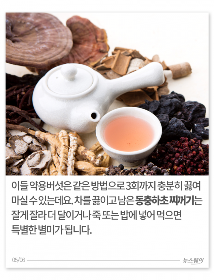 찬바람에 면역력 뚝···이맘때 ‘○○차’가 딱 기사의 사진