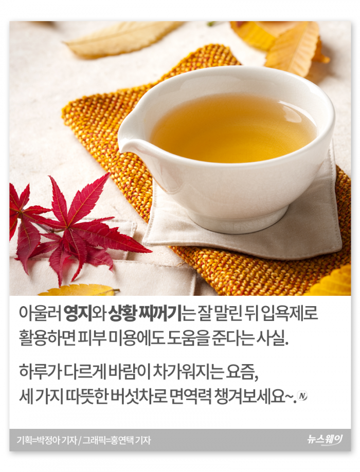 찬바람에 면역력 뚝···이맘때 ‘○○차’가 딱 기사의 사진