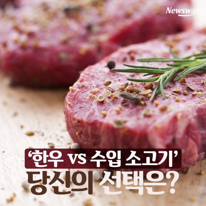 ‘한우 vs 수입 소고기’···당신의 선택은? 기사의 사진