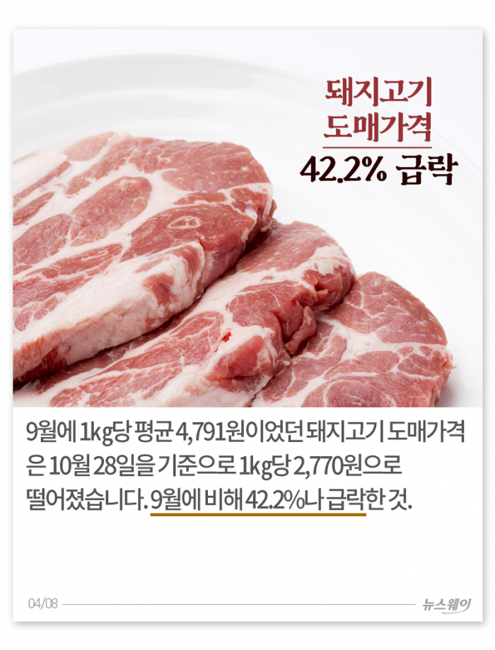 두 번 우는 양돈 농가 기사의 사진