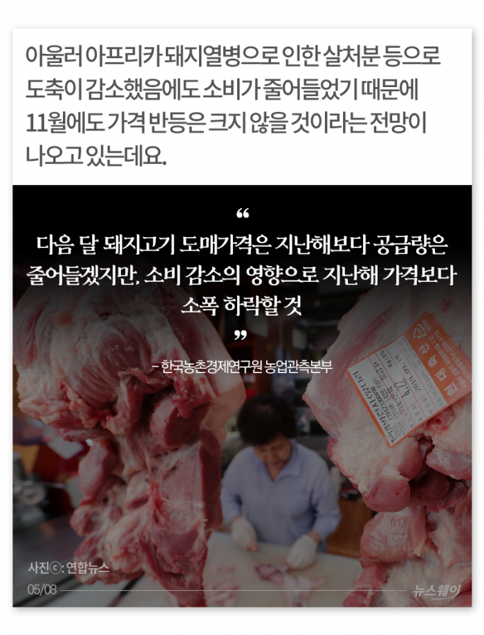 두 번 우는 양돈 농가 기사의 사진